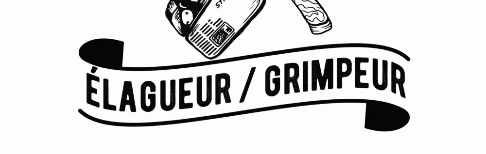 Djazz P. (perret multiservice)