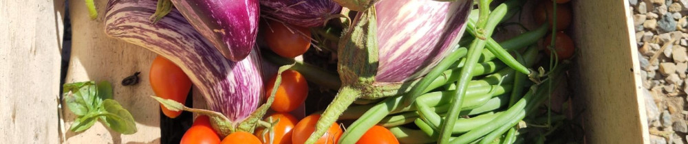 Sarah V. (Le Goût De Sarah)