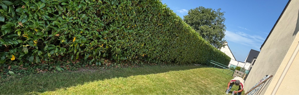 Stevens R. (SR paysage)