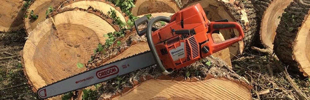 Frederic L. (Lagrenet&FilsÉlagage)