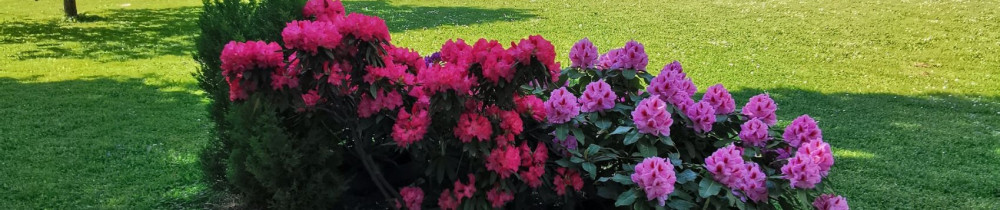 Branché Jardin