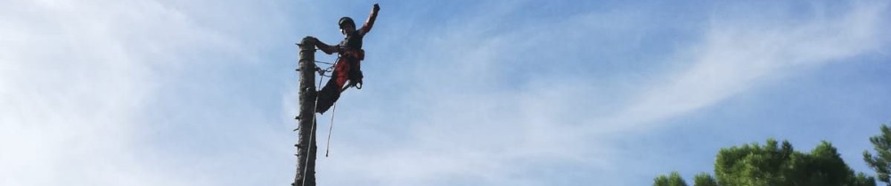 Yann M. (Terre D'Issole)