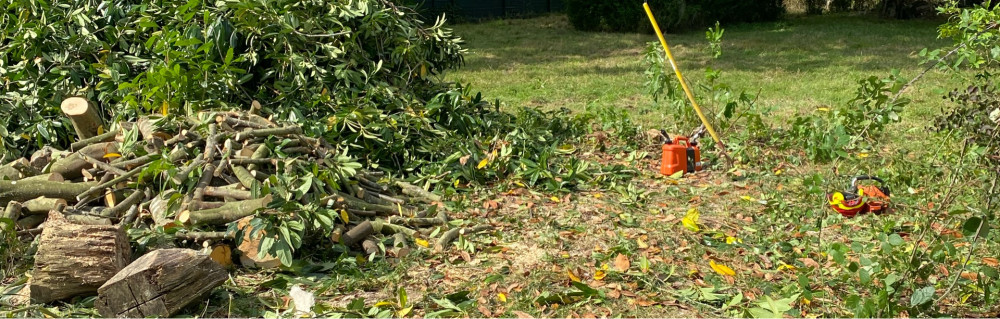 Alexandre D. (Le petit bucheron)