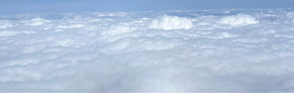 Sarah A. (Sarah Violette)