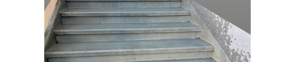 Clara C. (clara chalopin)