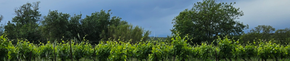 Salvatore P. (SP entretien espaces ver...