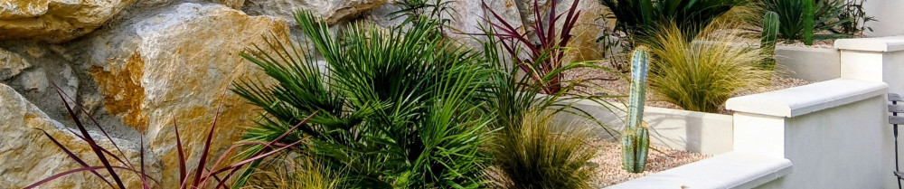 Murielle Q. (Longo-Mai services)