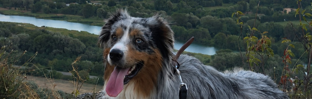 Maude M.