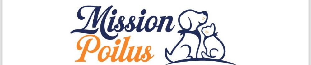 Solène L. (Mission Poilus)