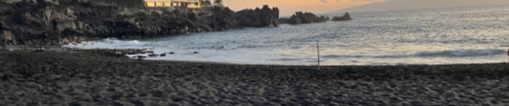 Eva M. (Les affaires de Eva)