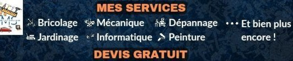 Damien D. (Damien Multi-Services)