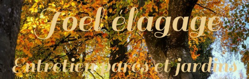 Joël T. (Joël élagage)