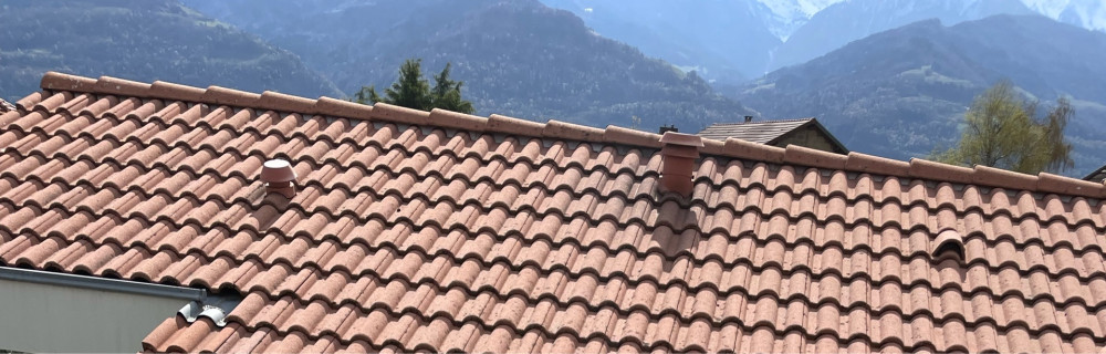 Franck M. (FmServices38)