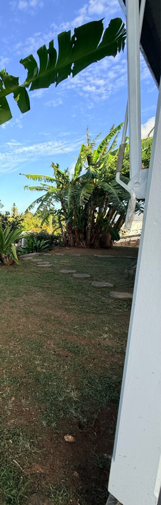 Guillaume C. (Jardin de Mocka)