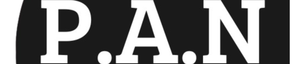 Pierre Louis N. (PAN Assistance Numéri...