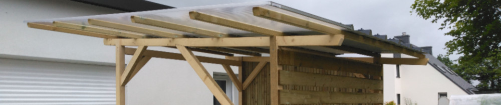 Denis B. (Le chat charpentier)