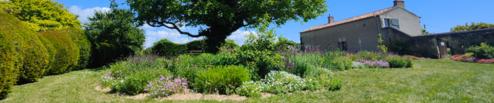 Boris T. (In Natura)