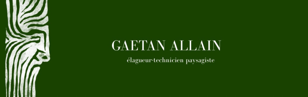 Gaetan A.