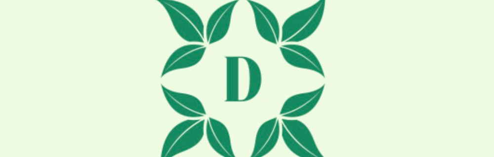 Adina R. (DIDI ENTRETIEN)