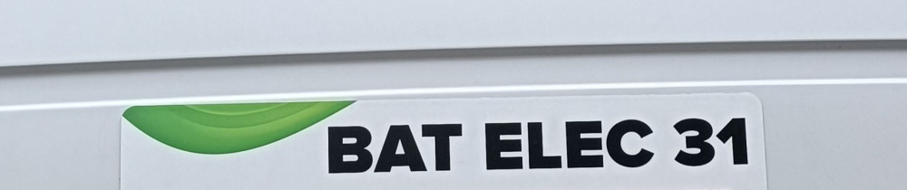 Bat E. (Bat Elec 31)