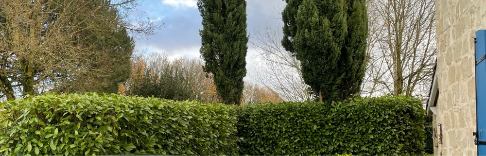 Yoann F. (yo renovation)