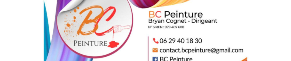 Bryan C. (BC Peinture)