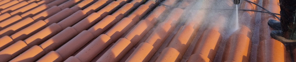 Dilane S. (SchatzHabitat)