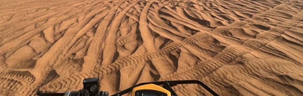 Woilid M. (Digitalizz)