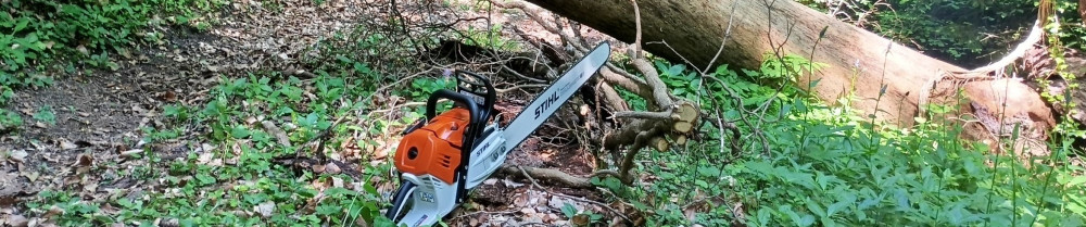 Mehdi C. (MED JARDIN ET BOIS SERVICES)