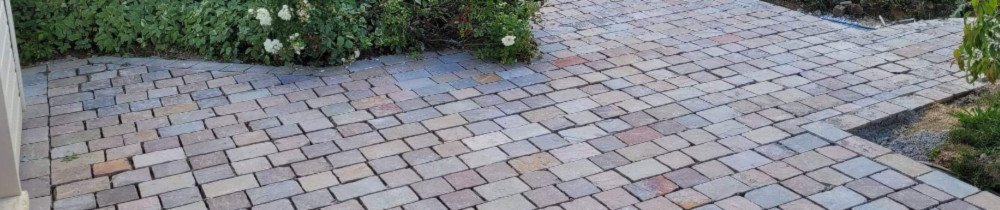 Xavier F. (Faelens Xavier)