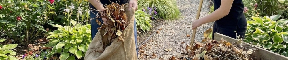 Ambre Et Marc A. (ASAP)