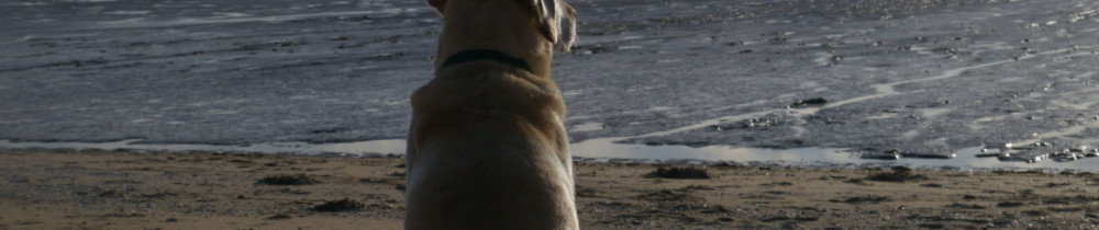 Tia A.