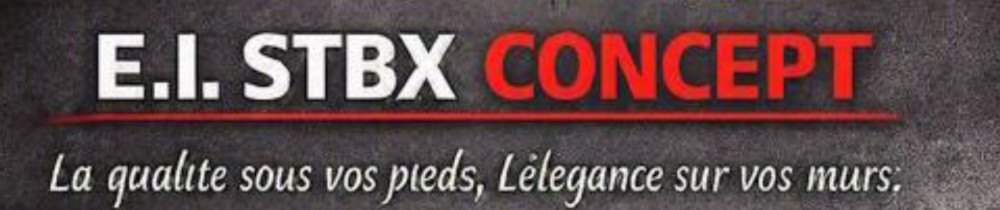 Stephane B. (Stbx concept)