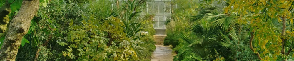 Tom L. (les jardins durables)