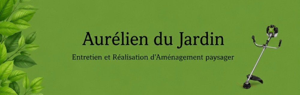 Aurélien R.