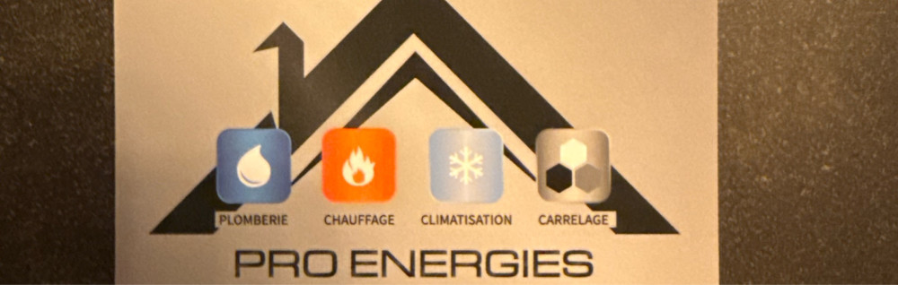 Daniel S. (Pro Energies)