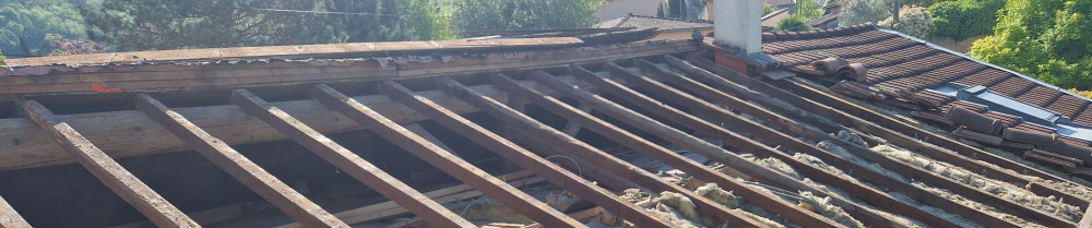 Christopher P. (ChrisToit)