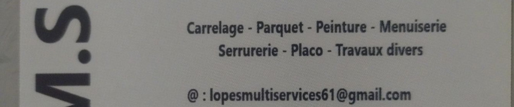 Jos L. (l.m.s (lopes multiservices))