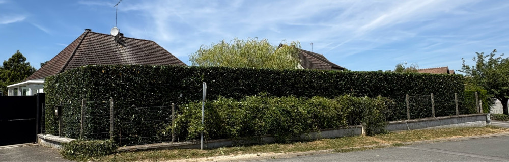Hugo C. (Hugo paysage IDF)