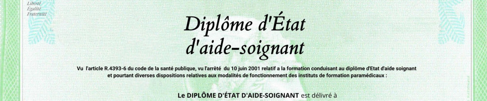 Cindy F. (ferdi cindy)