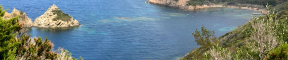 Cyrille L. (AIDES.83)