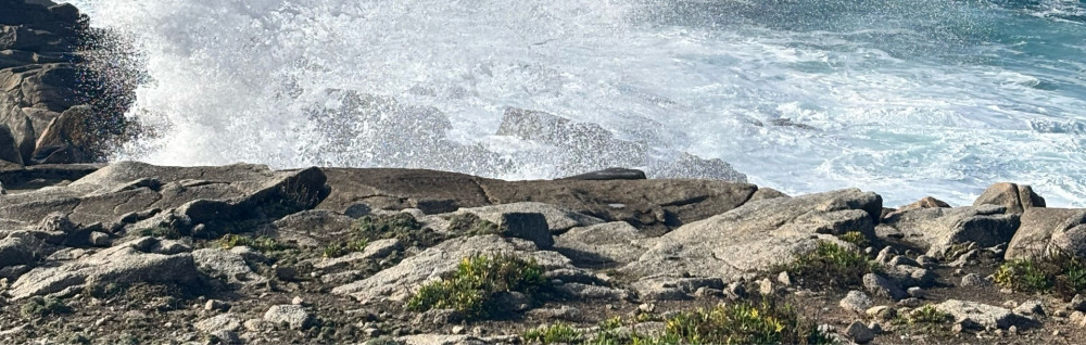 Sonia A. (Autret Sonia)