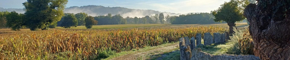 Jeremy L. (jl services)