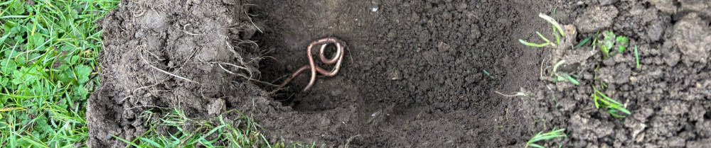 Thomas H. (Ei Huguenin thomas)