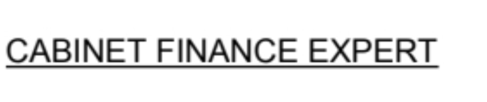 CABINET FINANCE EXPERT