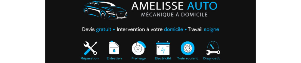 Anthony C. (Amelisse Auto)