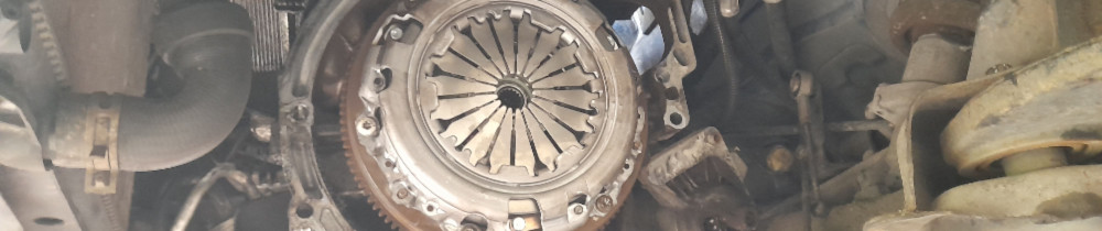 Mavrick D. (cars master)