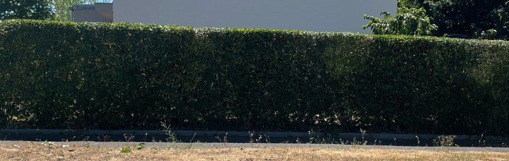 Mathys M. (MMPaysage Services)