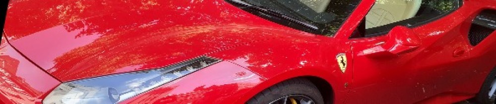 David D. (David Dumas)