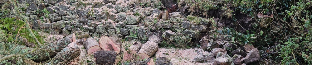 Matthieu H. (Houchard)